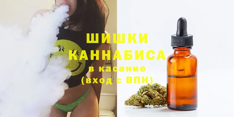 Шишки марихуана Ganja  Нестеровская 